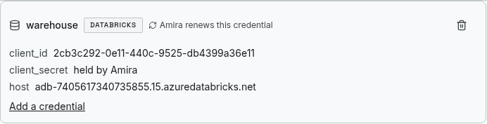A fully configured Databricks connection showing the Amira renews this credential badge